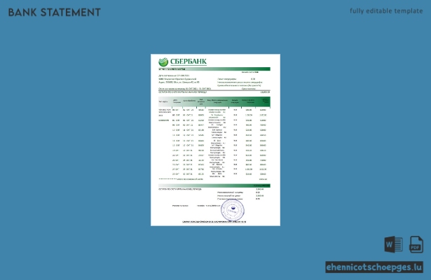 Beispiel eines Kontoauszugs der russischen Sberbank (Excel-Vorschau)